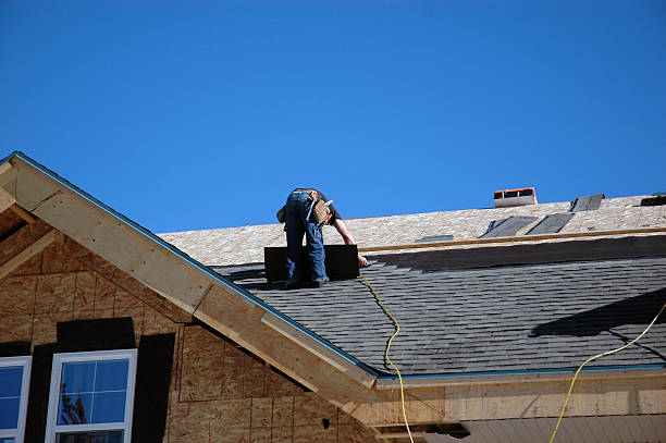 Best Shingle Roofing Installation  in Camden, TN