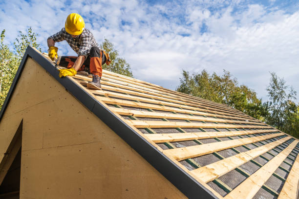 Best Storm Damage Roof Repair  in Camden, TN