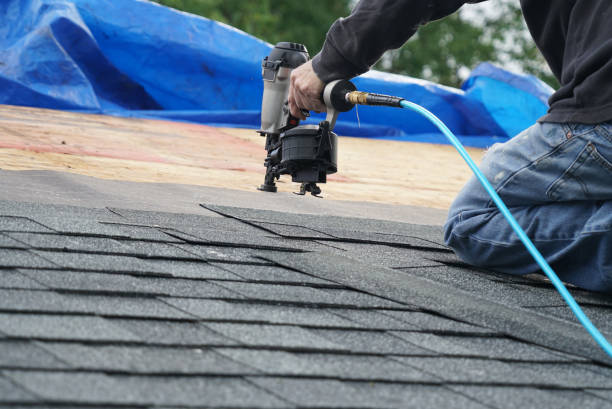 Best Affordable Roofing Company  in Camden, TN