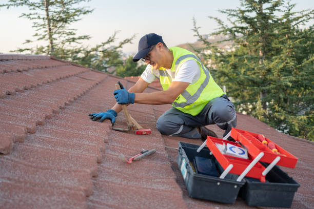 Best Metal Roofing Contractor  in Camden, TN