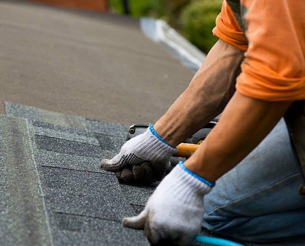 Best Roof Waterproofing Services  in Camden, TN